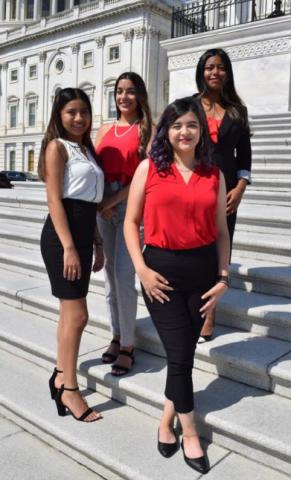 Interns posing at the stair of the Capitol.